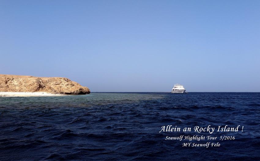 Allein bei Rocky Island, Seawolf Diving safari Felo Highlight Tour, M/Y Seawolf Felo, Ägypten