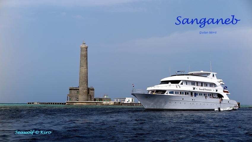 Dominator am Sanganeb, Sudan; Seawolf; Diving Safari; Tauchen; leuchtturm; Riffkarte; Sanganeb; Safariboot, Dominator, M/Y Seawolf Dominator, Sudan