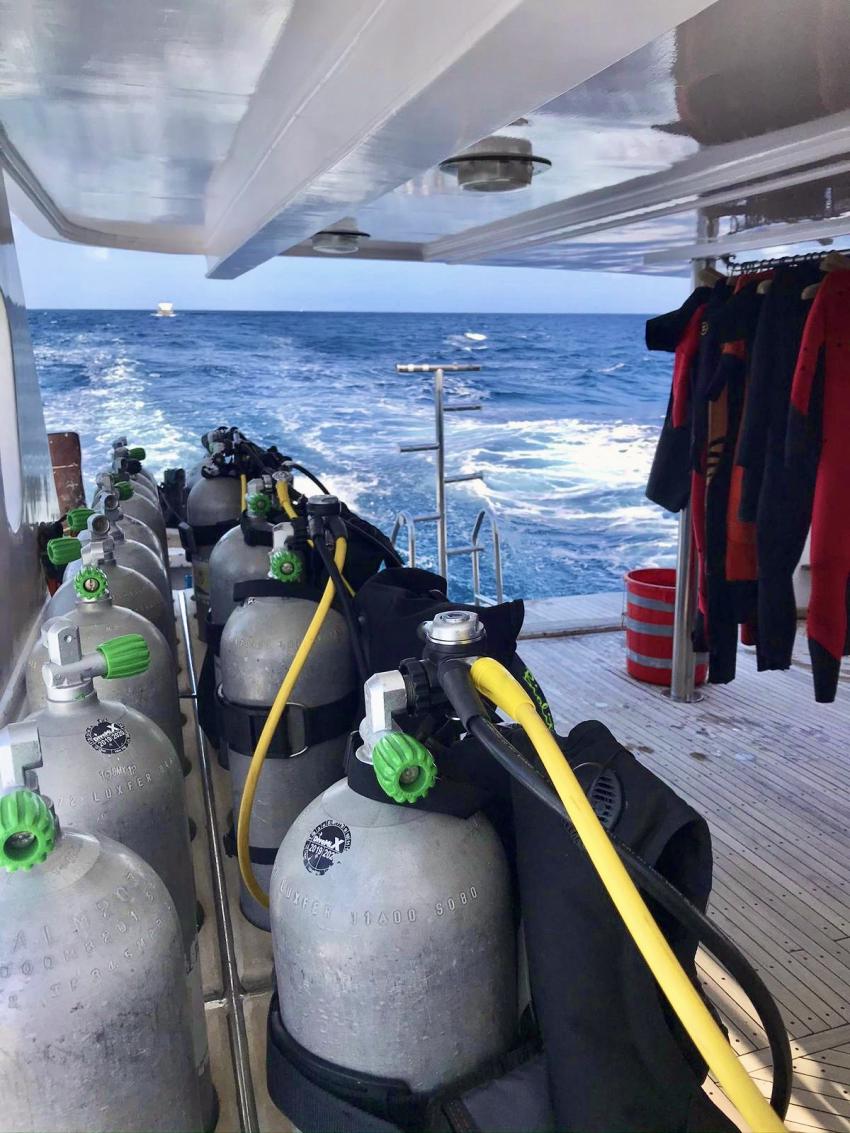 Tauchurlaub bei unserer Tauchbasis Volkert Dive Center - jetzt buchen unter www.volkert-touristik.de, Tauchen Ägypten Volkert Touristik Tauchreisen Tauchurlaub, Volkert Touristik, Ägypten