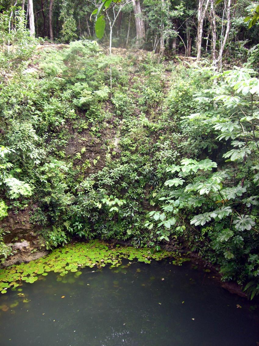 Cenoten von Angelita bis Zapote, Cenoten gemischt (Cenoten Playa del Carmen,Tulum und Meer),Mexiko,Cenote,Einstieg,Höhlentauchen