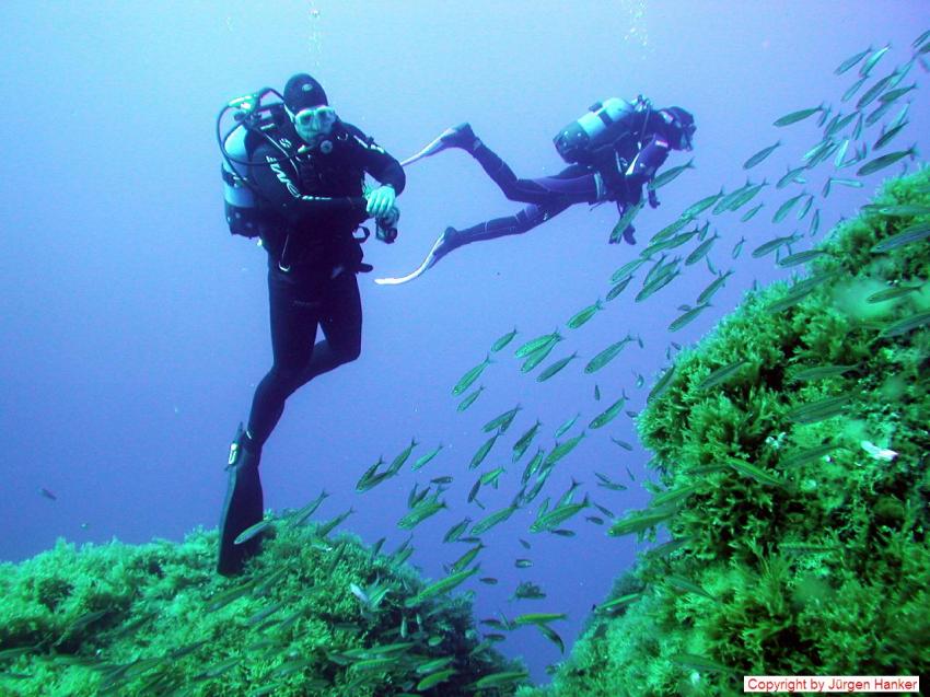 Gozo Aqua Sports - Dive Centre, Gozo allgemein,Malta,Reqqa Reef,taucher