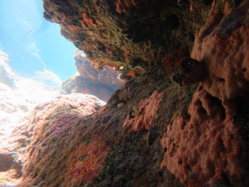 Diving Center Nero Sport, Zakynthos, Griechenland