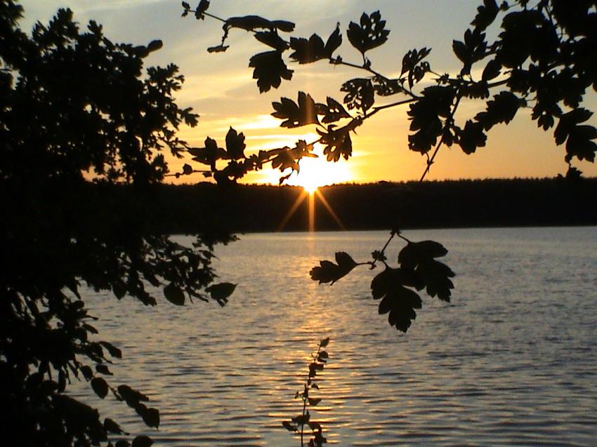 Dreetzsee bei Thomsdorf ( Mecklenburger Seen ), Dreetzsee,Feldberger Seenlandschaft,Mecklenburg-Vorpommern,Deutschland