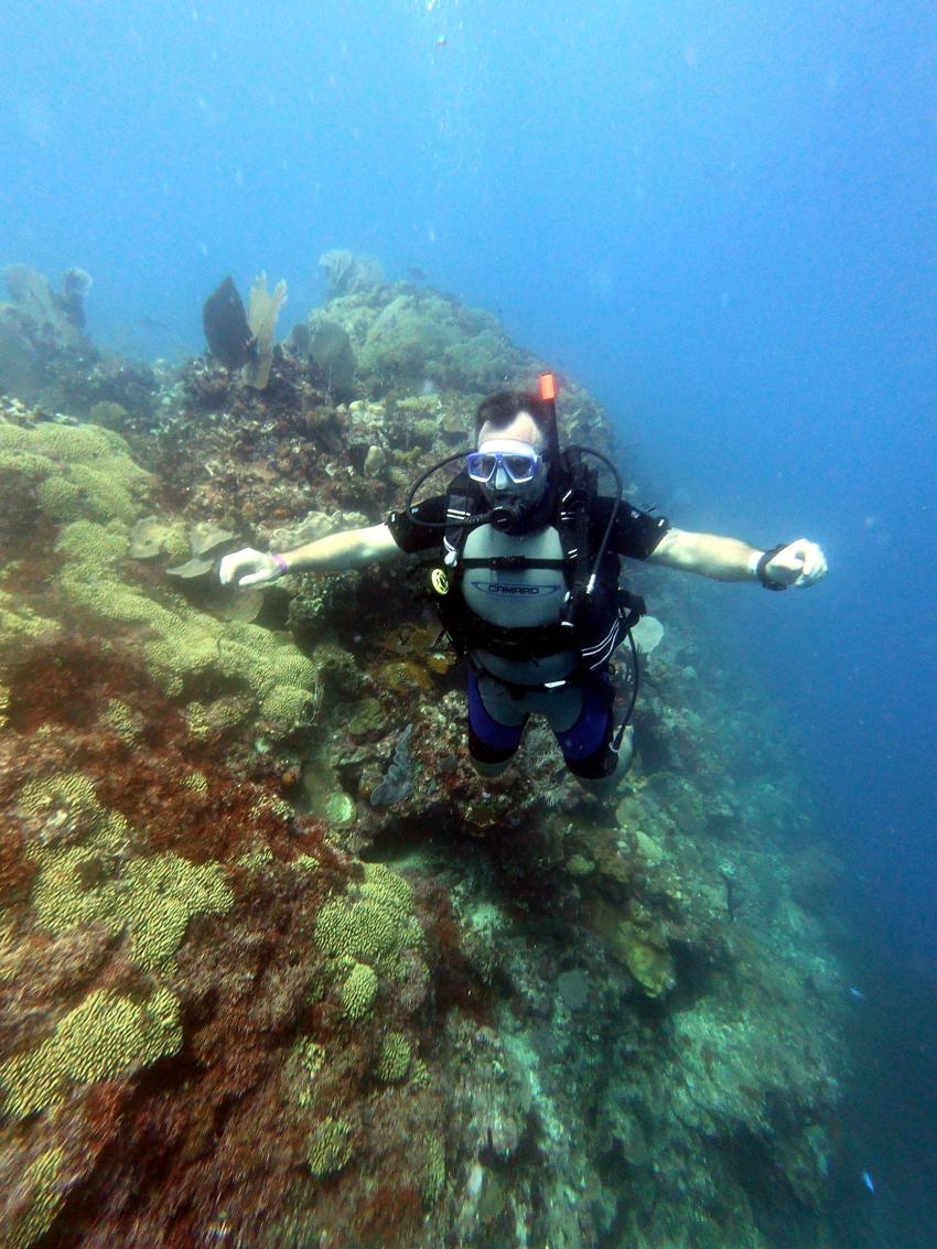 Ultra Marine Divers - Catalina Wall, Ultra Marine Divers, Punta Cana, Dominikanische Republik