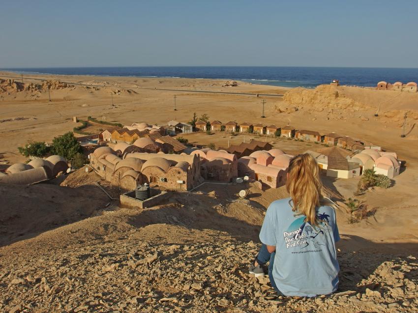 Pharaoh Dive Club, Roots Red Sea, Ägypten, El Quseir bis Port Ghalib