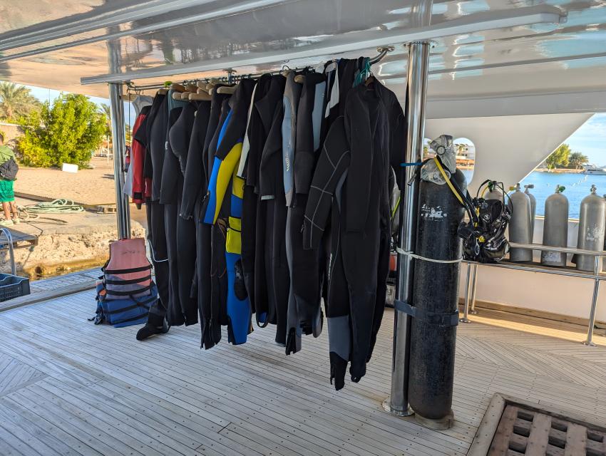 Tauchurlaub bei unserer Tauchbasis Volkert Dive Center - jetzt buchen unter www.volkert-touristik.de, Tauchen Ägypten Volkert Touristik Tauchreisen Tauchurlaub, Volkert Touristik, Ägypten