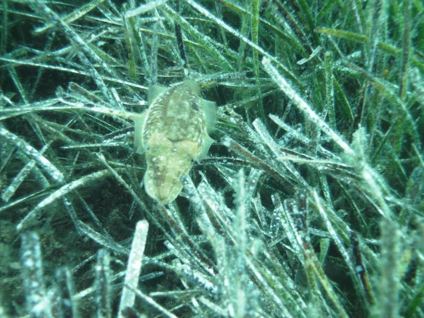 Halkidiki - Athos, Halkidiki - Athos,Griechenland