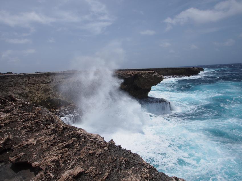 Bonaire allg., verschiedene Tauchplätze Bonaire,Bonaire,Niederländische Antillen