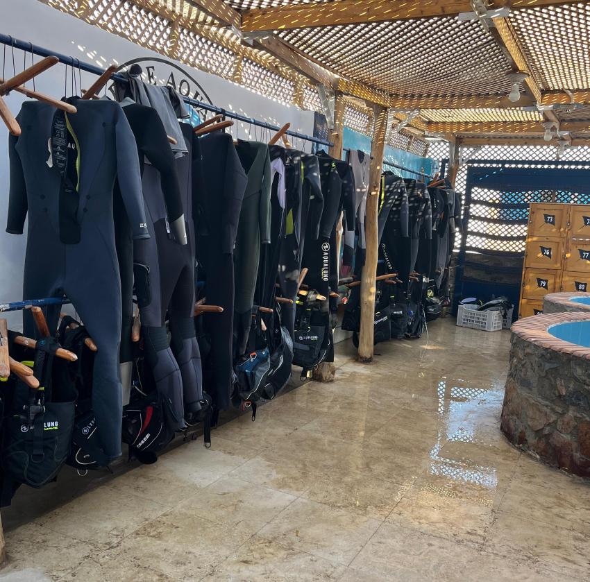 Blue Aqua - German Diving Center, Ägypten, Safaga