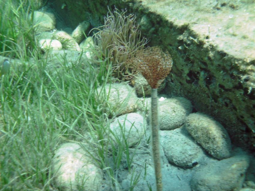 Halkidiki - Athos, Halkidiki - Athos,Griechenland