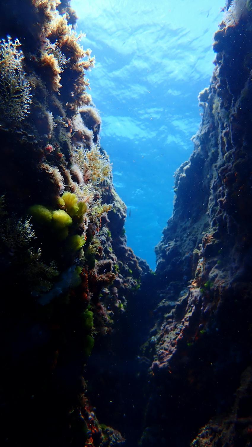 Diving Center, Cala Pada, Ibiza, Spanien, Balearen