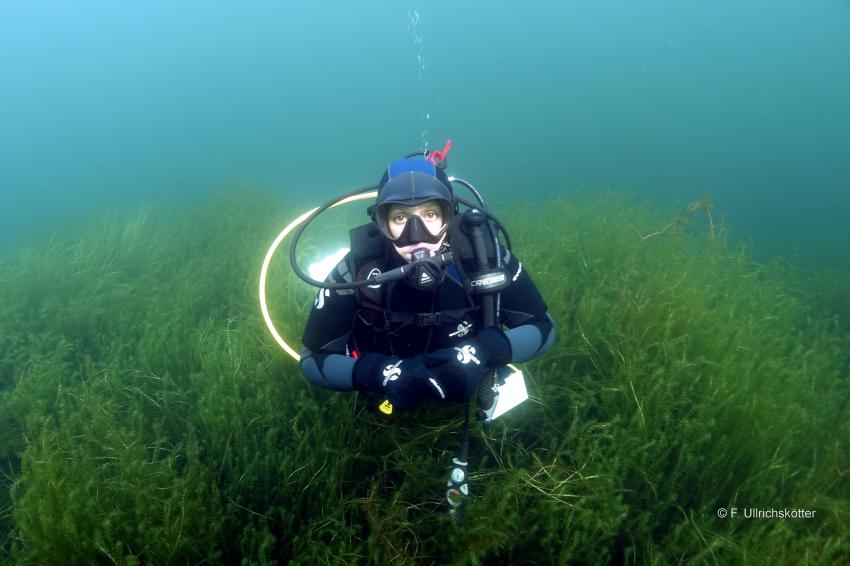 Sorpesee, Deutschland, Nordrhein-Westfalen