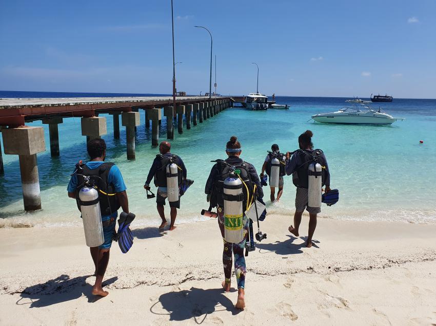 Euro-Divers Amari Havodda, Malediven
