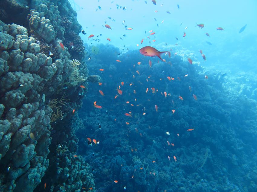Red Sea Sky Diving Center, Ägypten, Hurghada