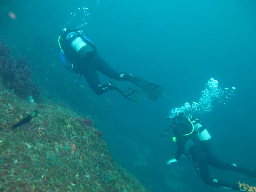 Best Spot Azores PADI 5 star Dive Center, Sao Miguel, Portugal, Azoren