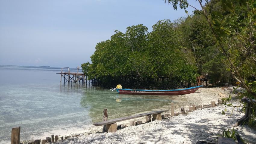 Tauchpause bei den Ausflügen auf einer Insel, Yenkoranu Homestay+Diving, Indonesien, Allgemein