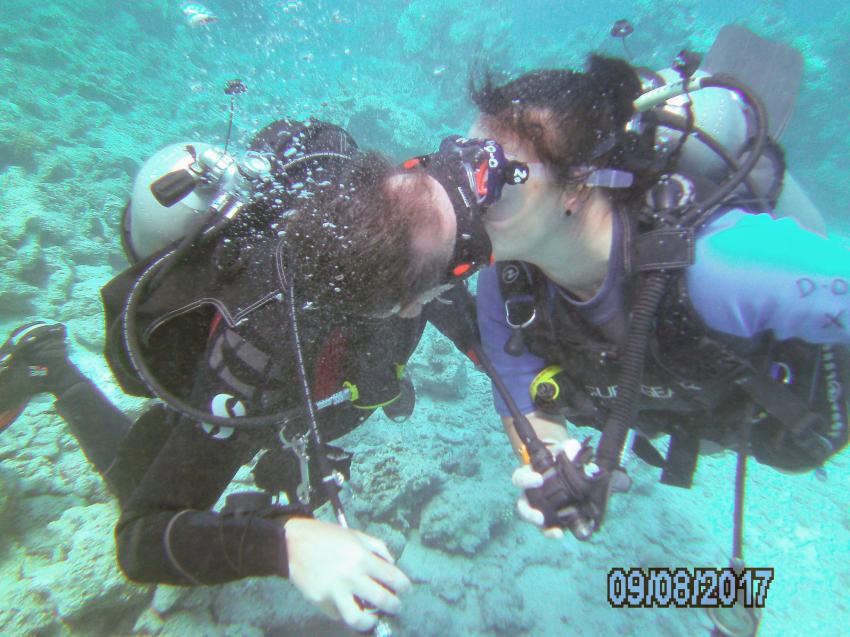 Deep Ocean Blue Diving Center, Marsa Alam, Ägypten, El Quseir bis Port Ghalib
