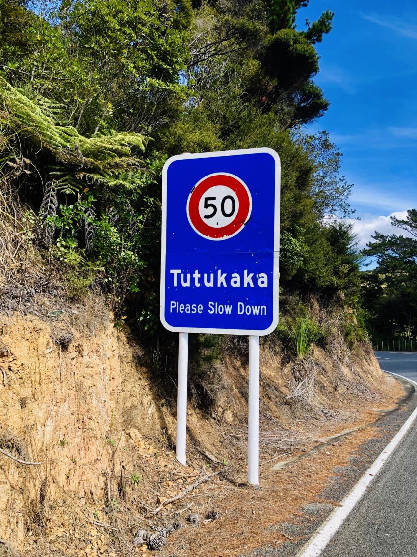 Dive Tutukaka, Tutukaka, Whangarei, Neuseeland