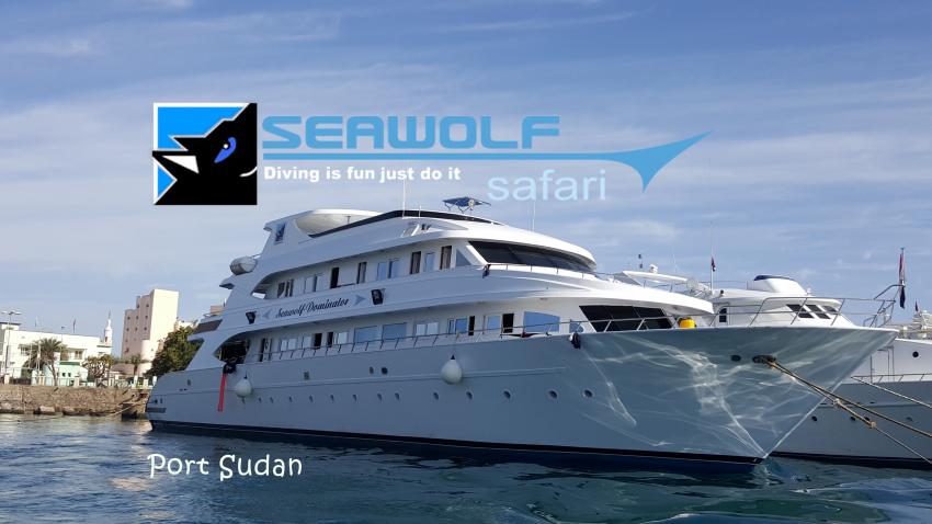 Port Sudan 2016, M/Y Dominator, Sudan