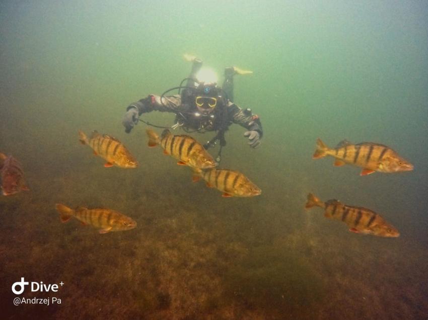 Xantener Südsee, Deutschland, Nordrhein-Westfalen