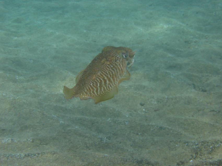 Aquatis Divingcenter Lanzarote