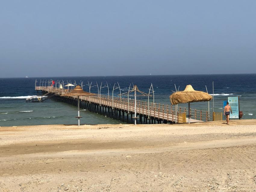 Steg, diving.DE Abu Dabab, El Malikia Resort, Ägypten, Marsa Alam und südlich