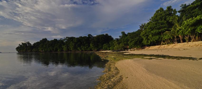 Strandabschnitt bei Niedrigwasser