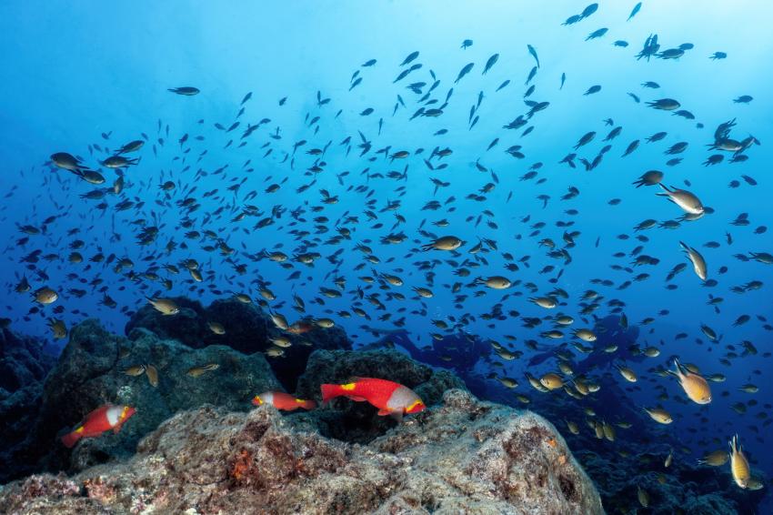 Water & Wind, Portugal, Azoren