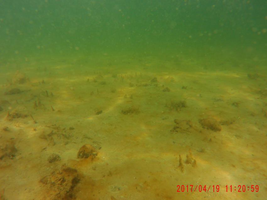 Tauchbasis Koralle, Mondsee St. Lorenz, Österreich