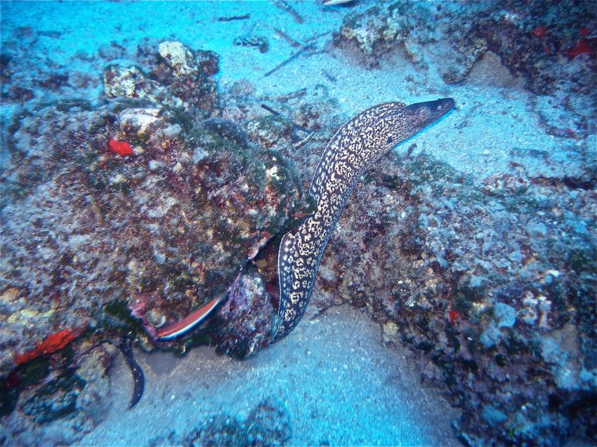 We Shall Sea Scuba Dive, Amorgos, Griechenland