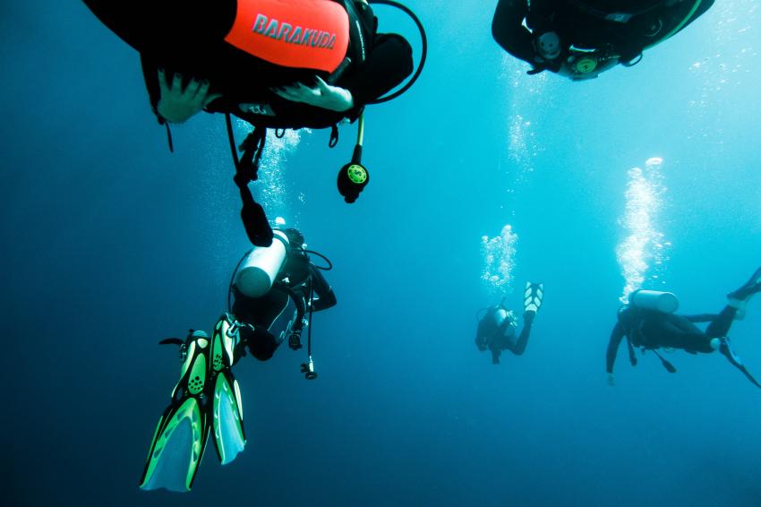 Scuba World Divers, Scuba World Divers El Quseir, SENTIDO Oriental Dream Resort, Ägypten, El Quseir bis Port Ghalib