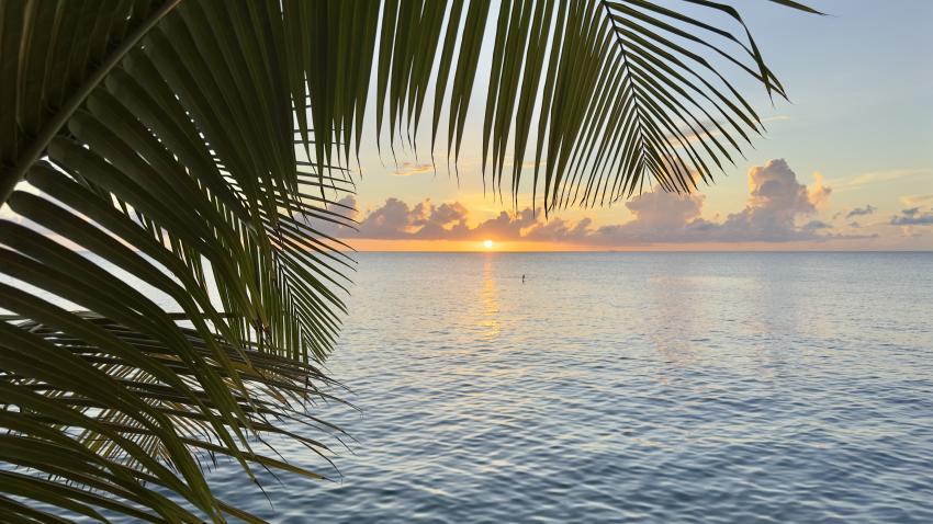 Curacao Divers (Sun Reef Village), Sint Michiel, Niederländische Antillen, Curaçao