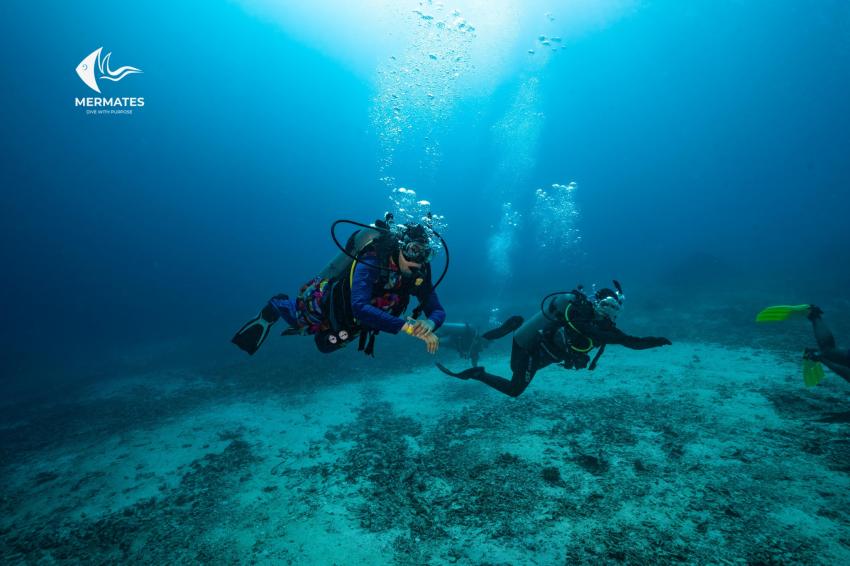 MALAYSIA DIVING TRIP, mermates.club, Saudi-Arabien