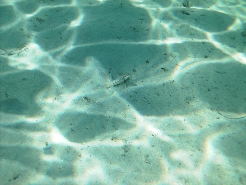 Halkidiki - Athos, Halkidiki - Athos,Griechenland