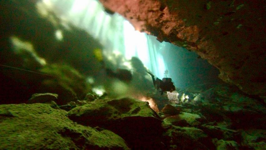 Halocline Divers, Mexiko