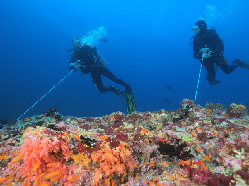 DivePoint Rannalhi, Malediven