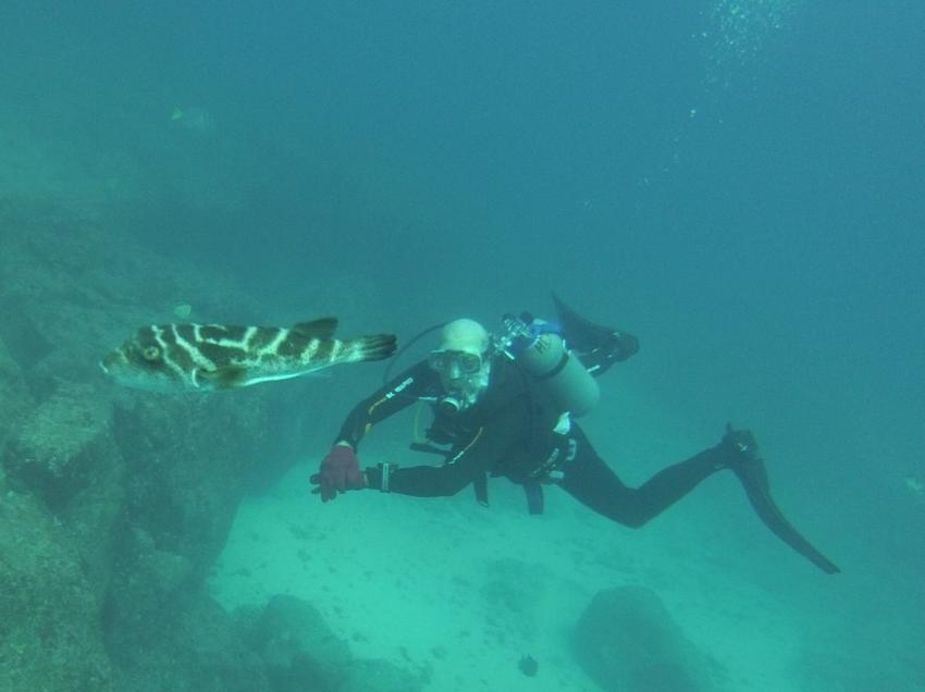 Academy Bay Diving, Ecuador, Galapagos
