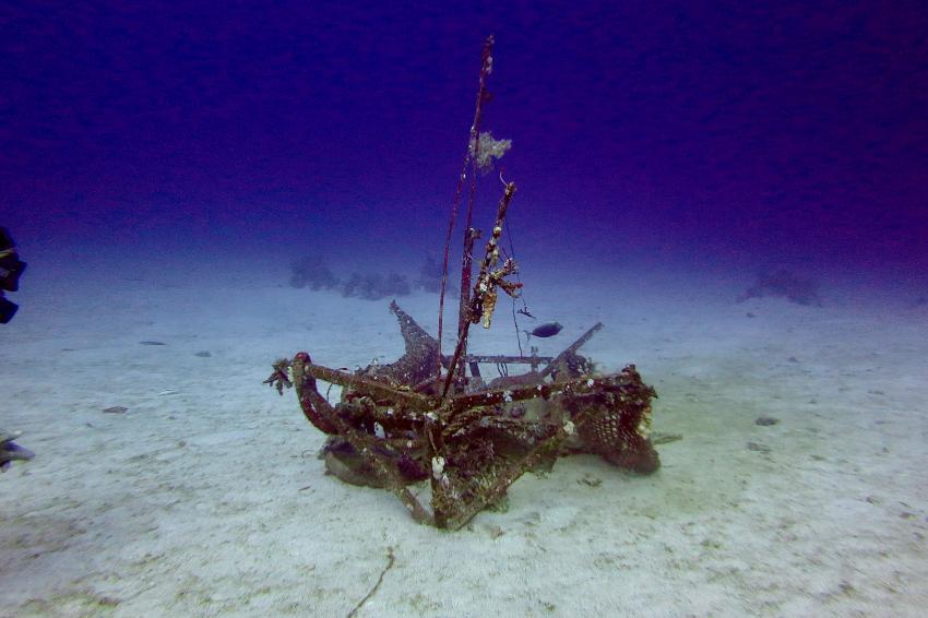 Ducks Diving Quesier at Rohanou Beach Resort, Ägypten, El Quseir bis Port Ghalib