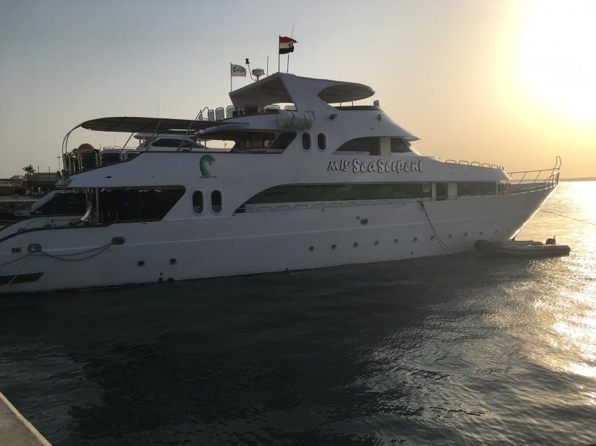 M/Y Sea Serpent Fleet , Sea Serpent, Ägypten