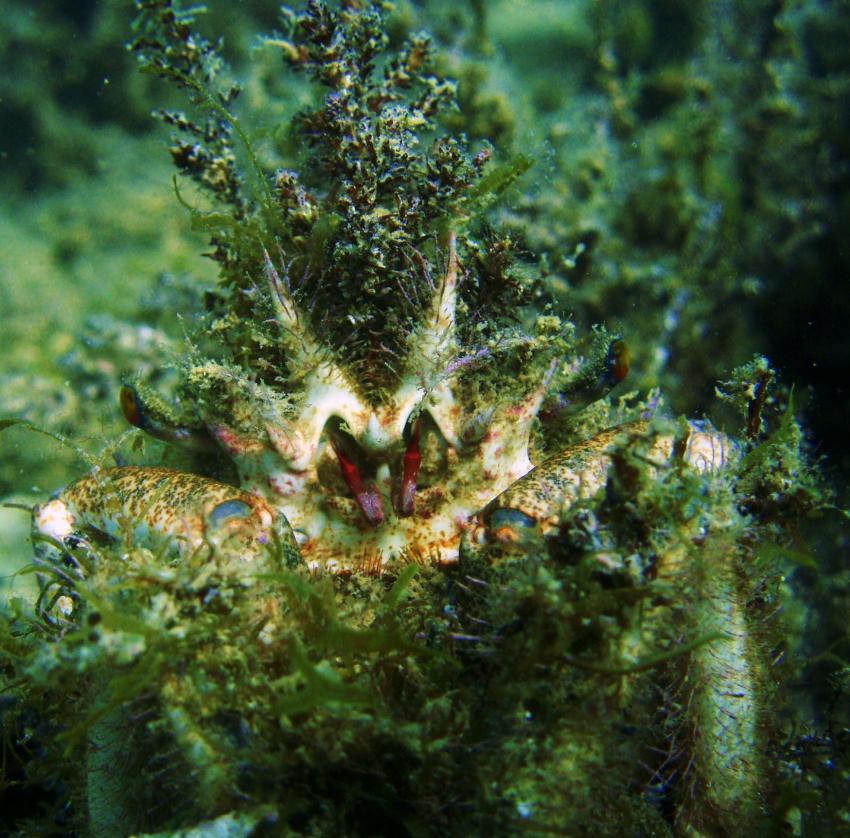 Trogir Diving Center Okrug Gornij, Trogir,Kroatien