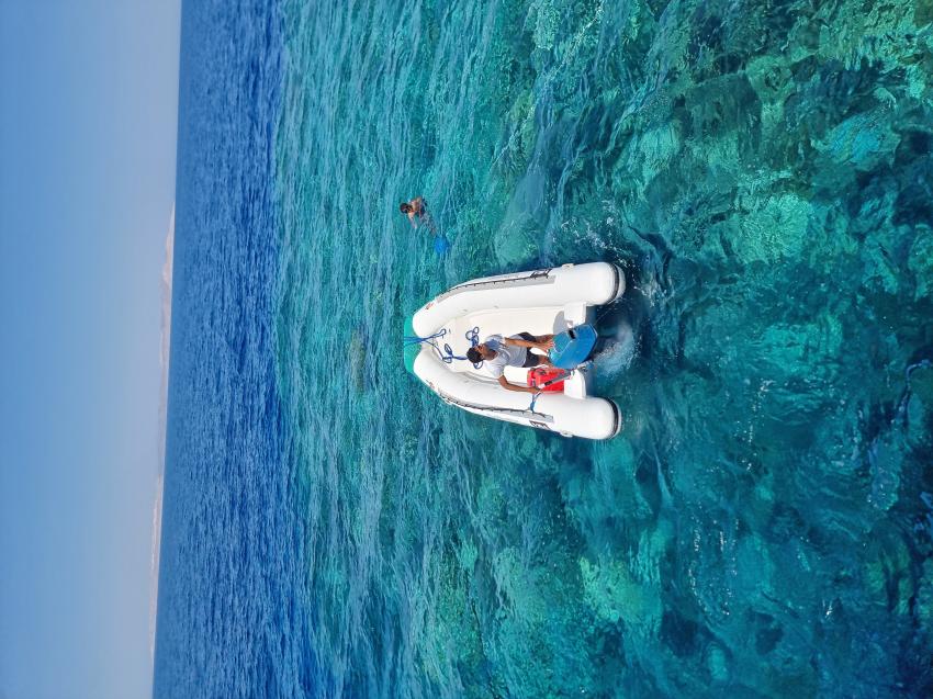 Tauchfreunde Hurghada, Ägypten, Hurghada