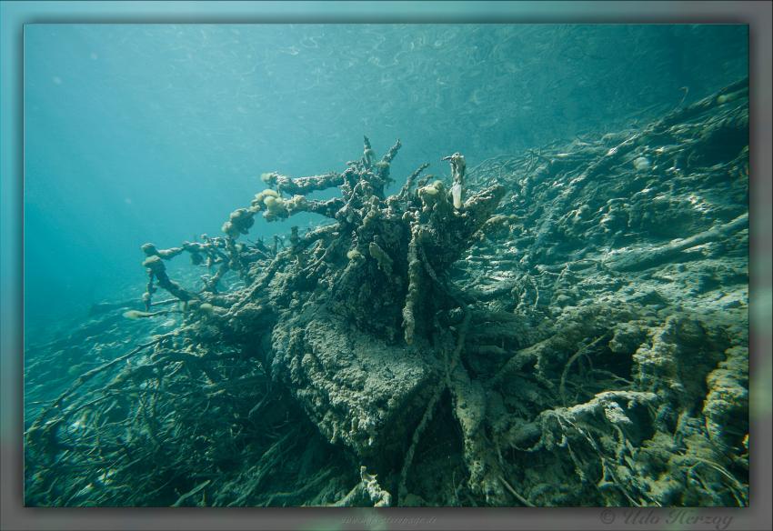 Blindsee - Steilwand, Bäume, Fische, Taucher, Blindsee,Lermoos,Österreich