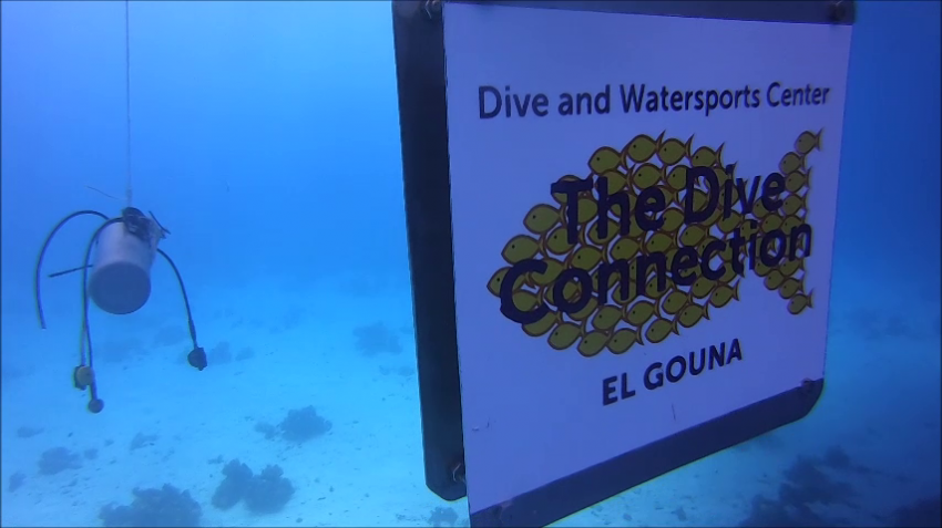 Dive Connection, El Gouna, Ägypten, Hurghada