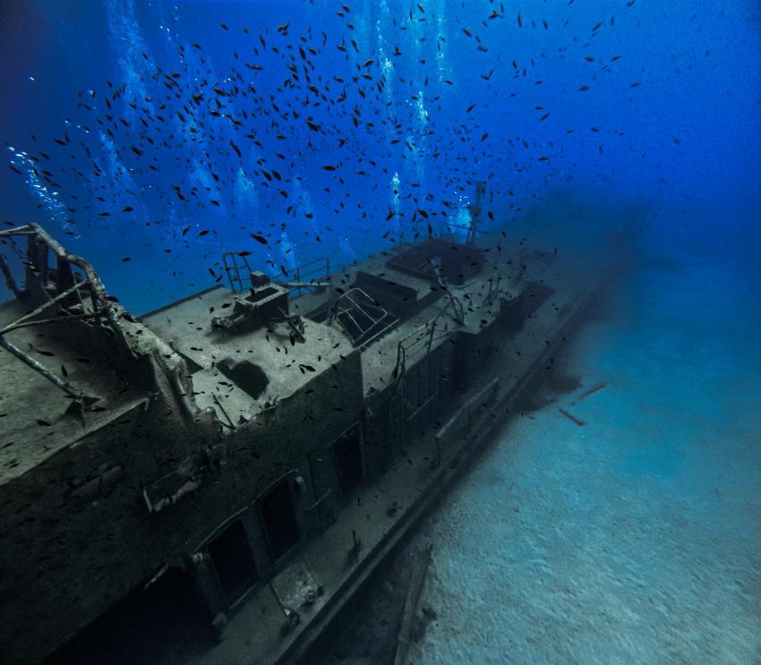 P31 Wrack, Utina Diving, Xlendi Bay, Gozo, Malta, Gozo