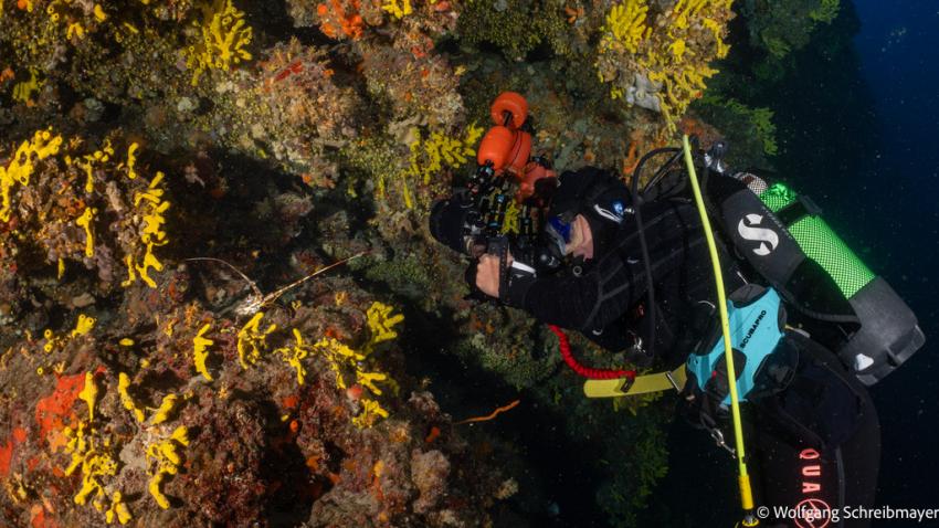 Punta Diving, Betina, Kroatien