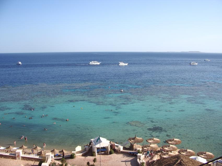 Scubadreamer, Sharm el Sheikh