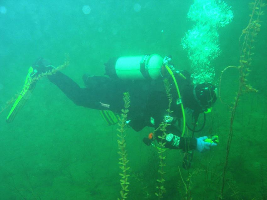 Brechtsee, Brechtsee,Philippsburg/Huttenheim,Baden Württemberg,Deutschland