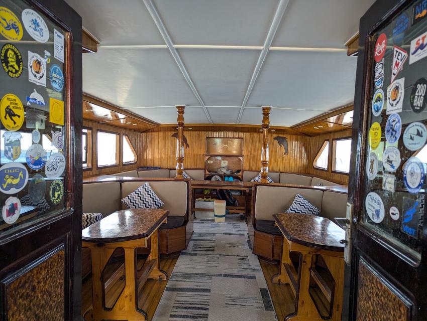 Tauchurlaub bei unserer Tauchbasis Volkert Dive Center - jetzt buchen unter www.volkert-touristik.de, Tauchen Ägypten Volkert Touristik Tauchreisen Tauchurlaub, Volkert Touristik, Ägypten