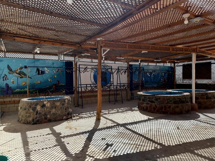 Blue Aqua - German Diving Center, Ägypten, Safaga