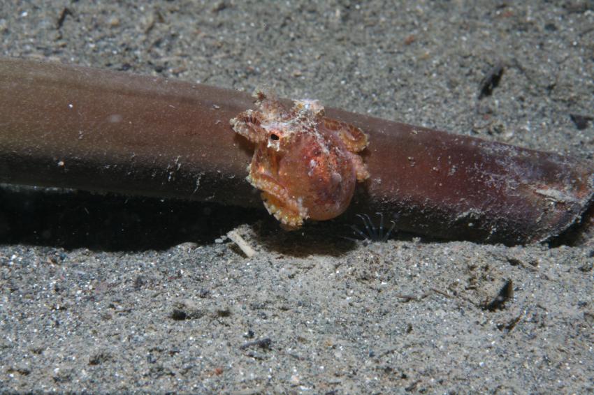 Bunaken Marine Park